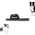 border collie (2).jpg