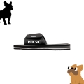 buldog (1).jpg