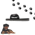 rottweiler (1).jpg