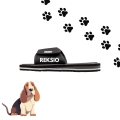 basset (2).jpg