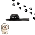 shih tzu (1).jpg