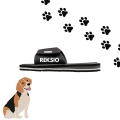 beagle (2).jpg