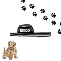 sharpei (1).jpg