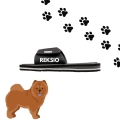 chow chow (1).jpg