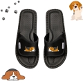 śpiący beagle (2).jpg