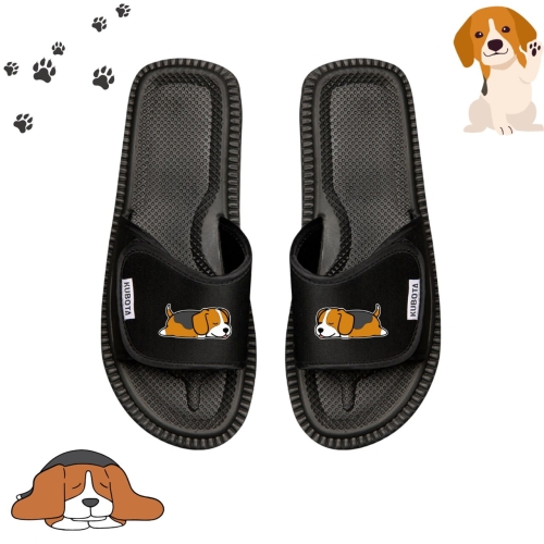 śpiący beagle (2).jpg