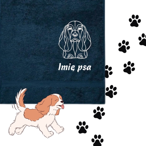 cavalier spaniel (3).jpg