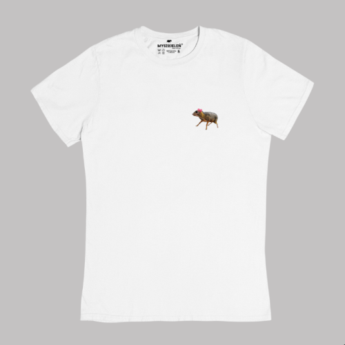 t-shirt damski girl petite (2).png