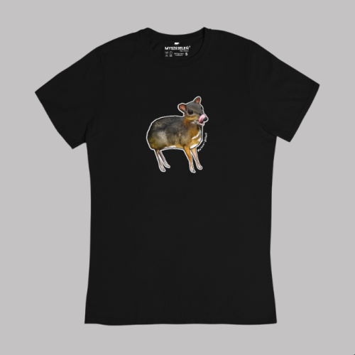 t-shirt damski mlem.png