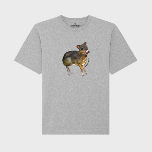 mlem (3).png